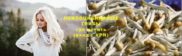 МДПВ Беломорск