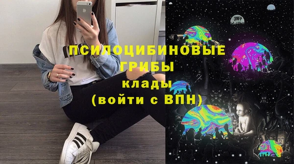 apvp Белокуриха