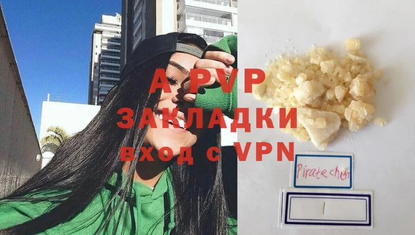 apvp Белокуриха