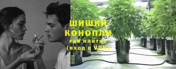 apvp Белокуриха